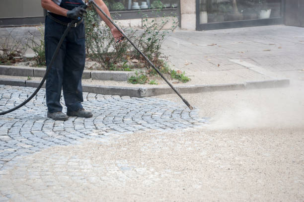 Best Animal Enclosure Cleaning  in Converse, TX
