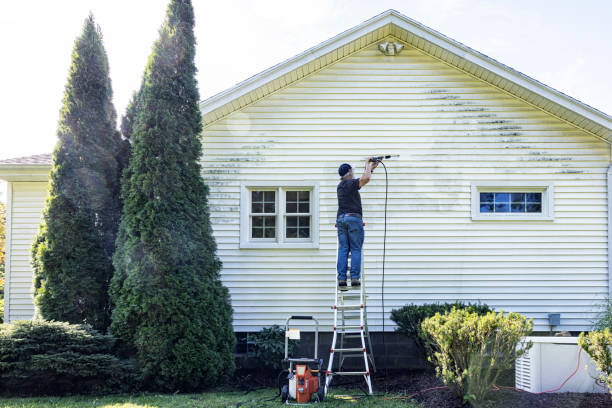 Best Patio and Deck Pressure Washing  in Converse, TX